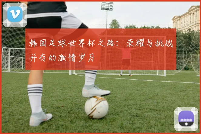 韩国足球世界杯之路：荣耀与挑战并存的激情岁月