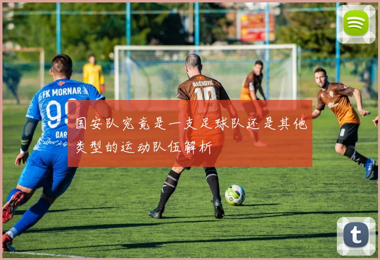国安队究竟是一支足球队还是其他类型的运动队伍解析